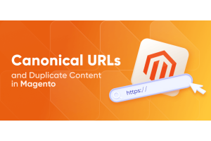 Canonical URLs and Duplicate Content in Magento