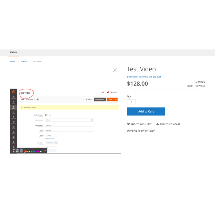 Video Pro for Magento® 2.x
